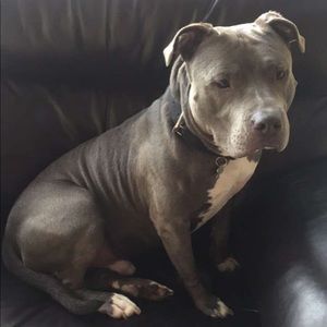 Meet your Posher, Cade